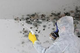 Biohazard Mold Removal in Newton, IA